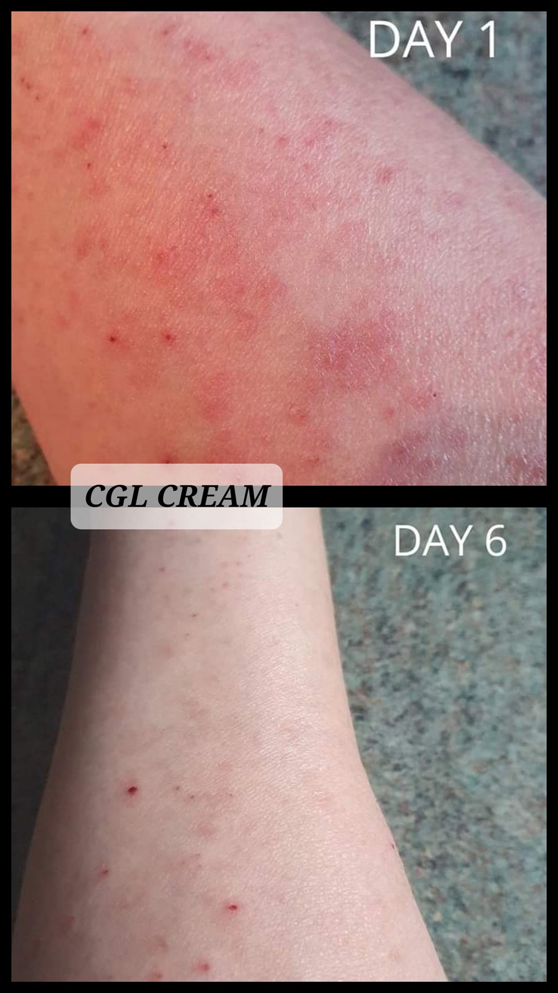 Chamomile Geranium & Lavender Cream - Transform Your Skin, Transform Your Life!