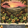 11ml Love YlangYlang Roll On