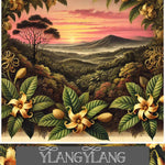 11ml Love YlangYlang Roll On