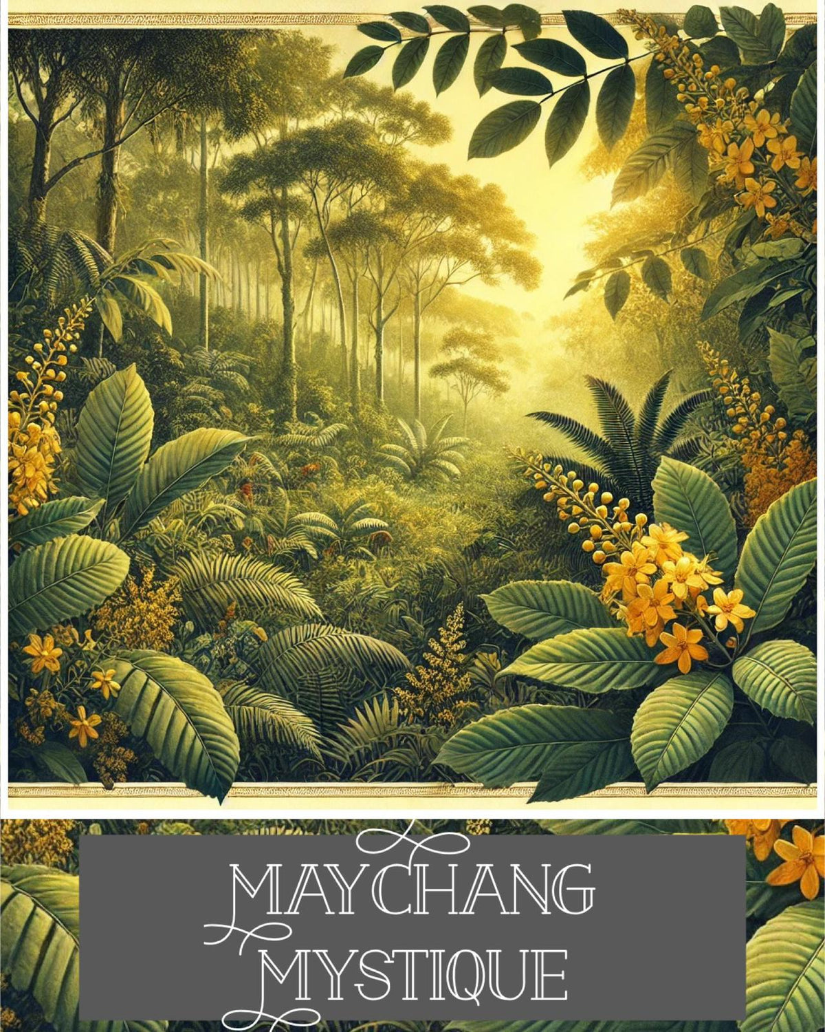 11ml MayChang Perfume Roll-On  – Zesty, Uplifting, &amp; Bursting with Joy