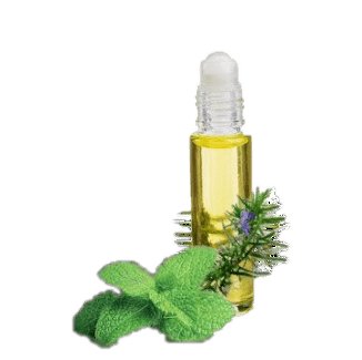 11ml Temple Balm Roll On -  – Unlock Instant Clarity, Focus & Refreshment