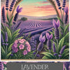 11ml Wild Lavender Roll-On – Pure Calm in a Bottle