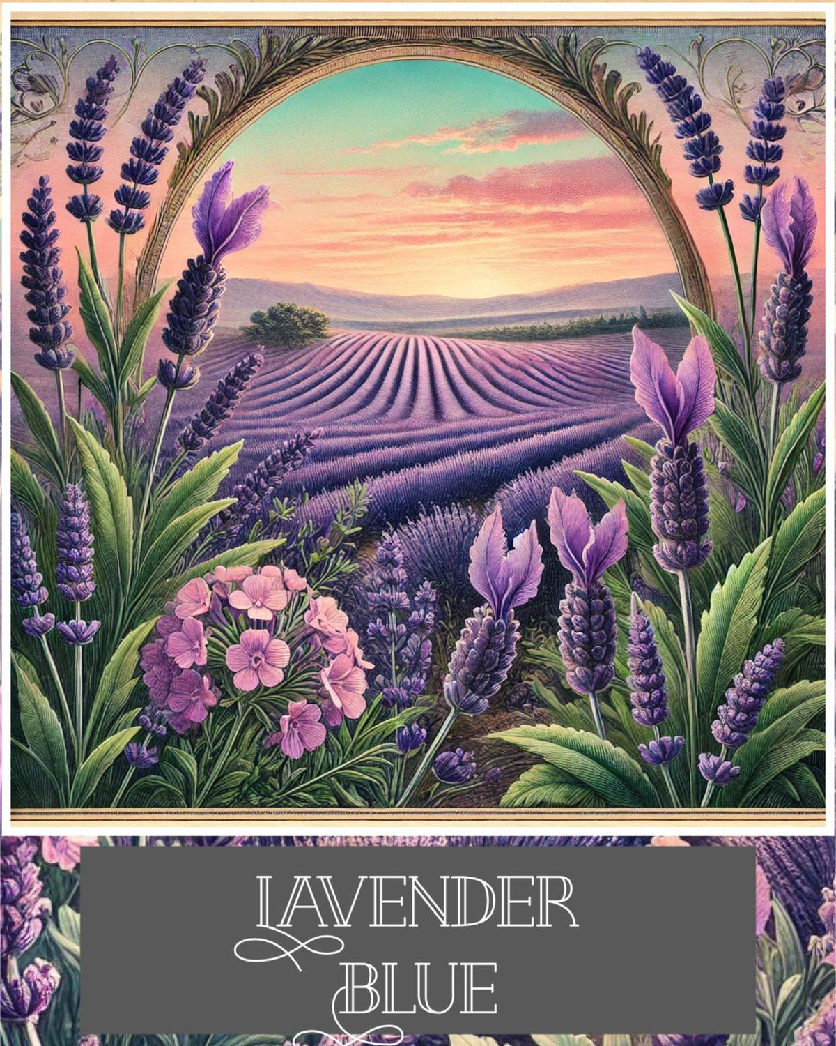 11ml Wild Lavender Roll-On – Pure Calm in a Bottle