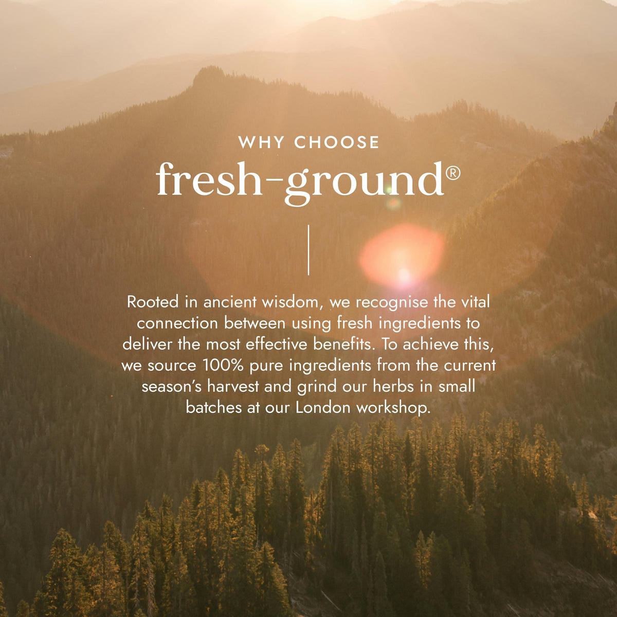 Adaptogen Energy Blend