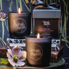 DREAM AROMATHERAPY SOY CANDLE | Soothe souls with Lavender & Bergamot